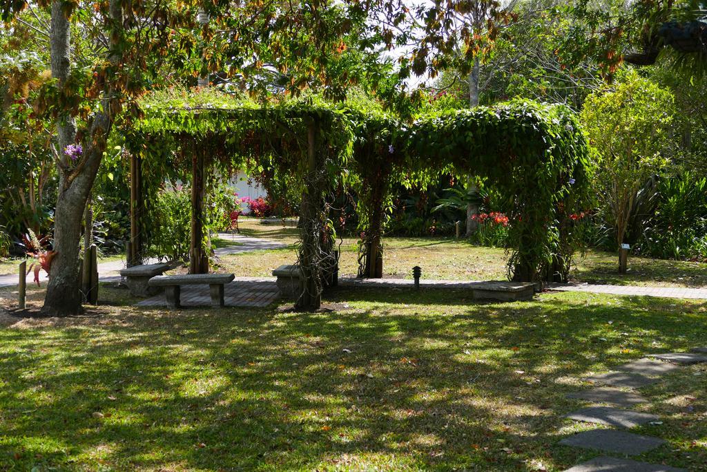 Santo Domingo De Heredia Hotel Bougainvillea San Jose מראה חיצוני תמונה