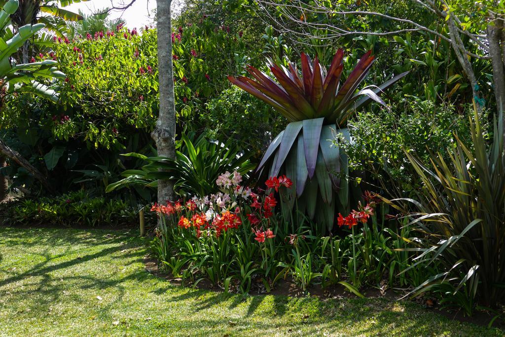 Santo Domingo De Heredia Hotel Bougainvillea San Jose מראה חיצוני תמונה